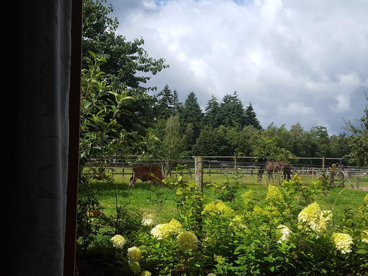 De Priesnitzhoeve Bed & Breakfast *