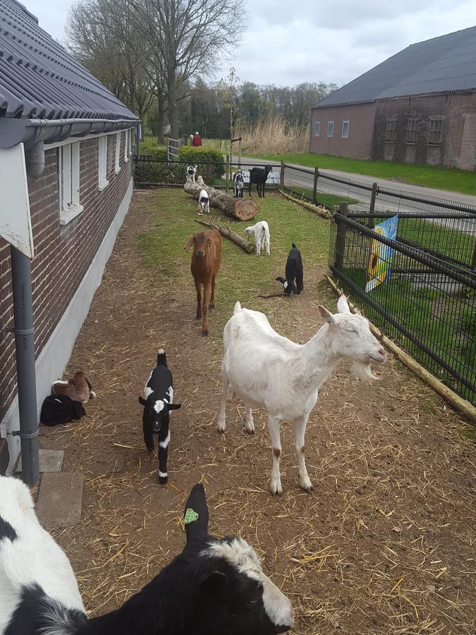 Bed & Breakfast De Priesnitzhoeve *