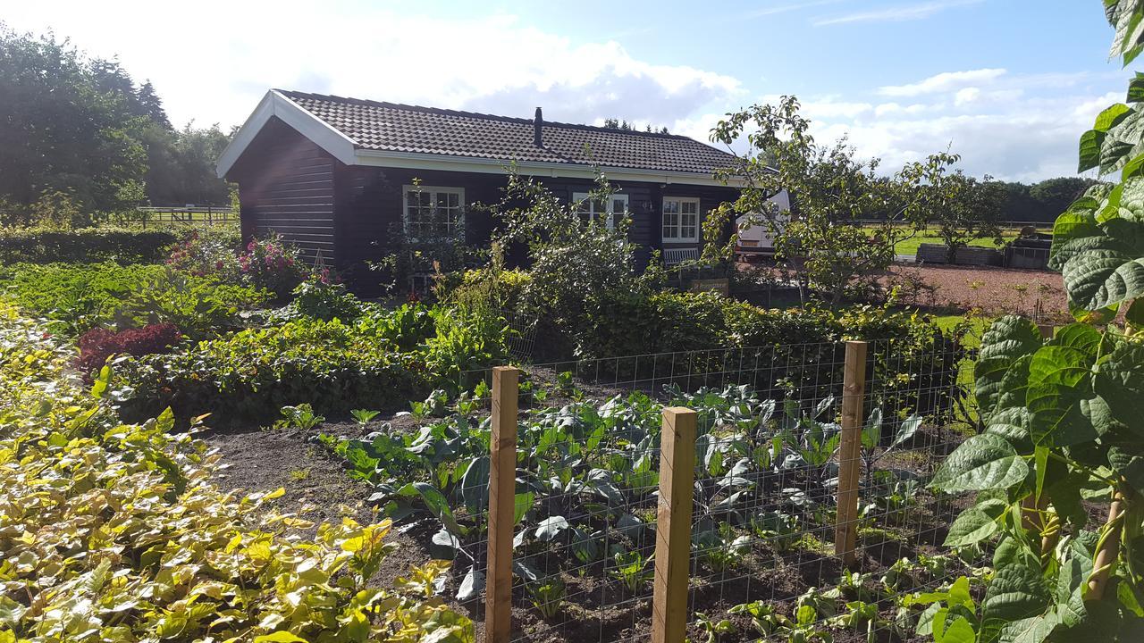 Bed & Breakfast De Priesnitzhoeve Laag-Soeren